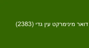 דואר מינימרקט עין גדי (2383)