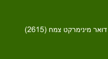 דואר מינימרקט צמח (2615)